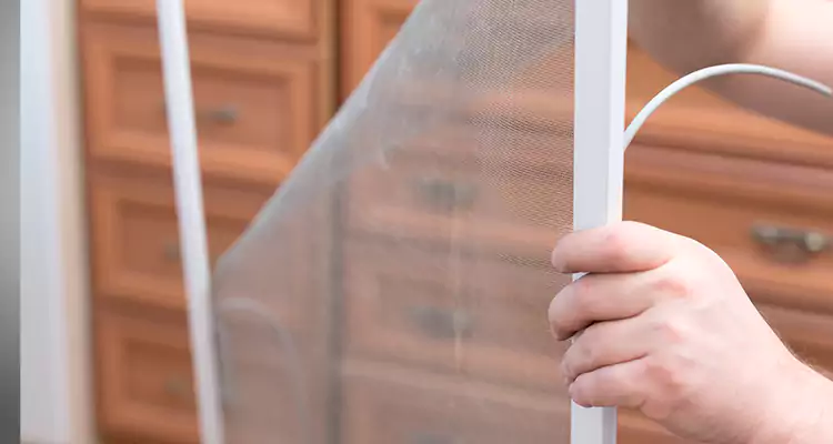 Privacy Mesh Screen Door Installation in Jacksonville, FL